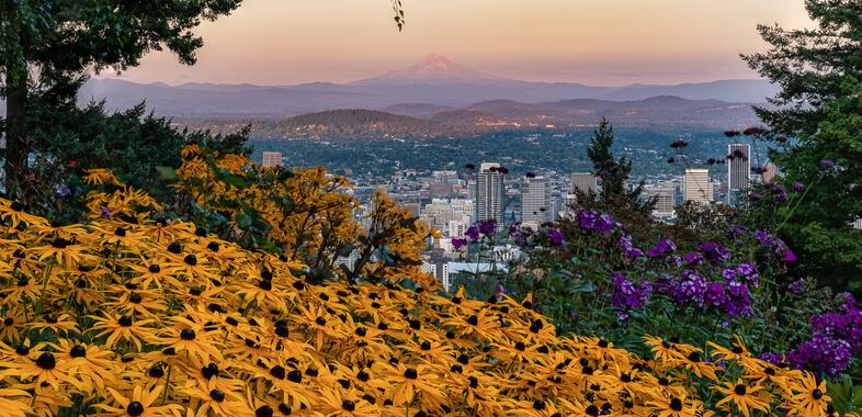 flowers in a forest with Portland in the background